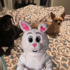 Meet your Posher, Teri